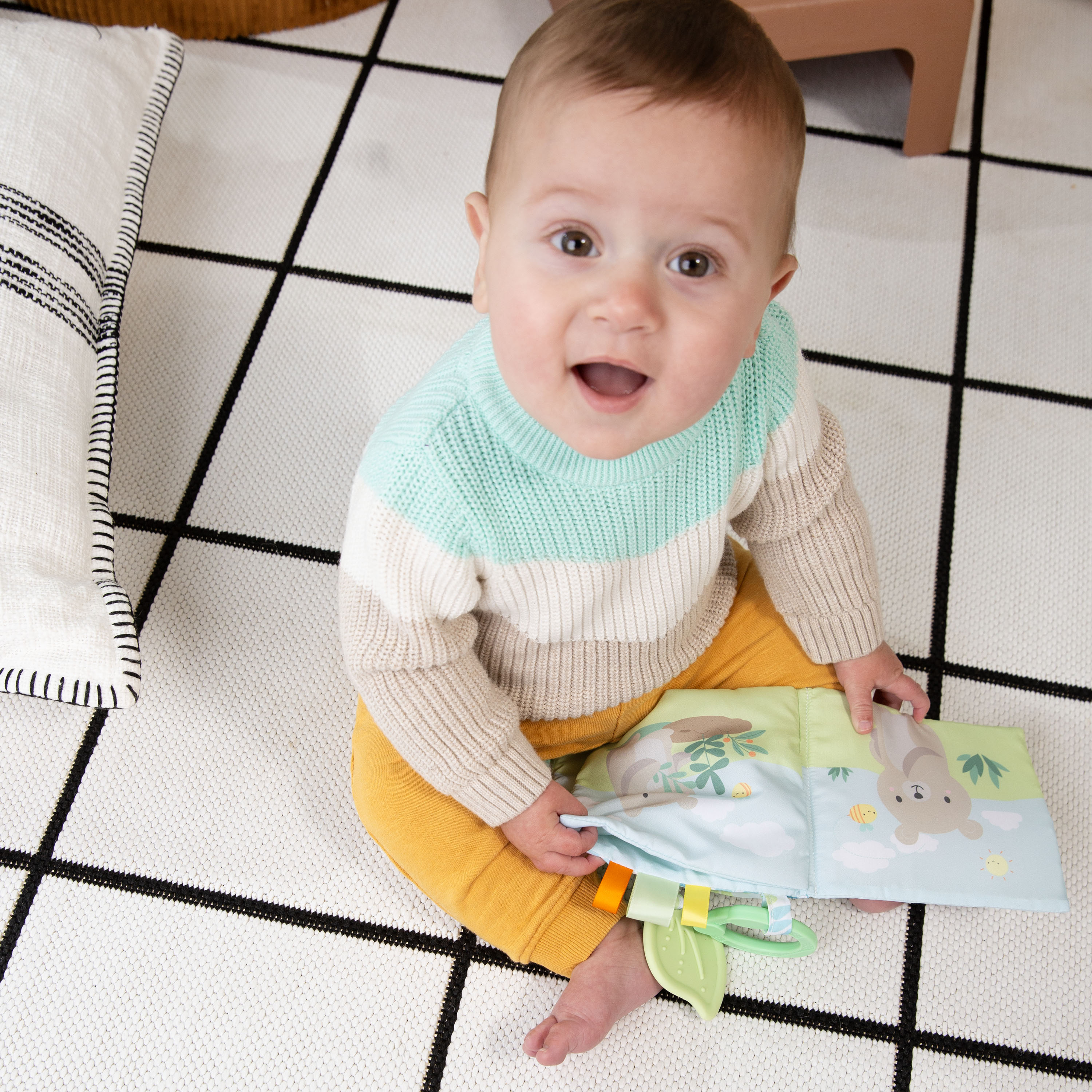 ity by Ingenuity Soft Book, 4 Plush Pages, Crinkle, BPA-Free Toy Attachment, For Ages Newborn and Up - Nate