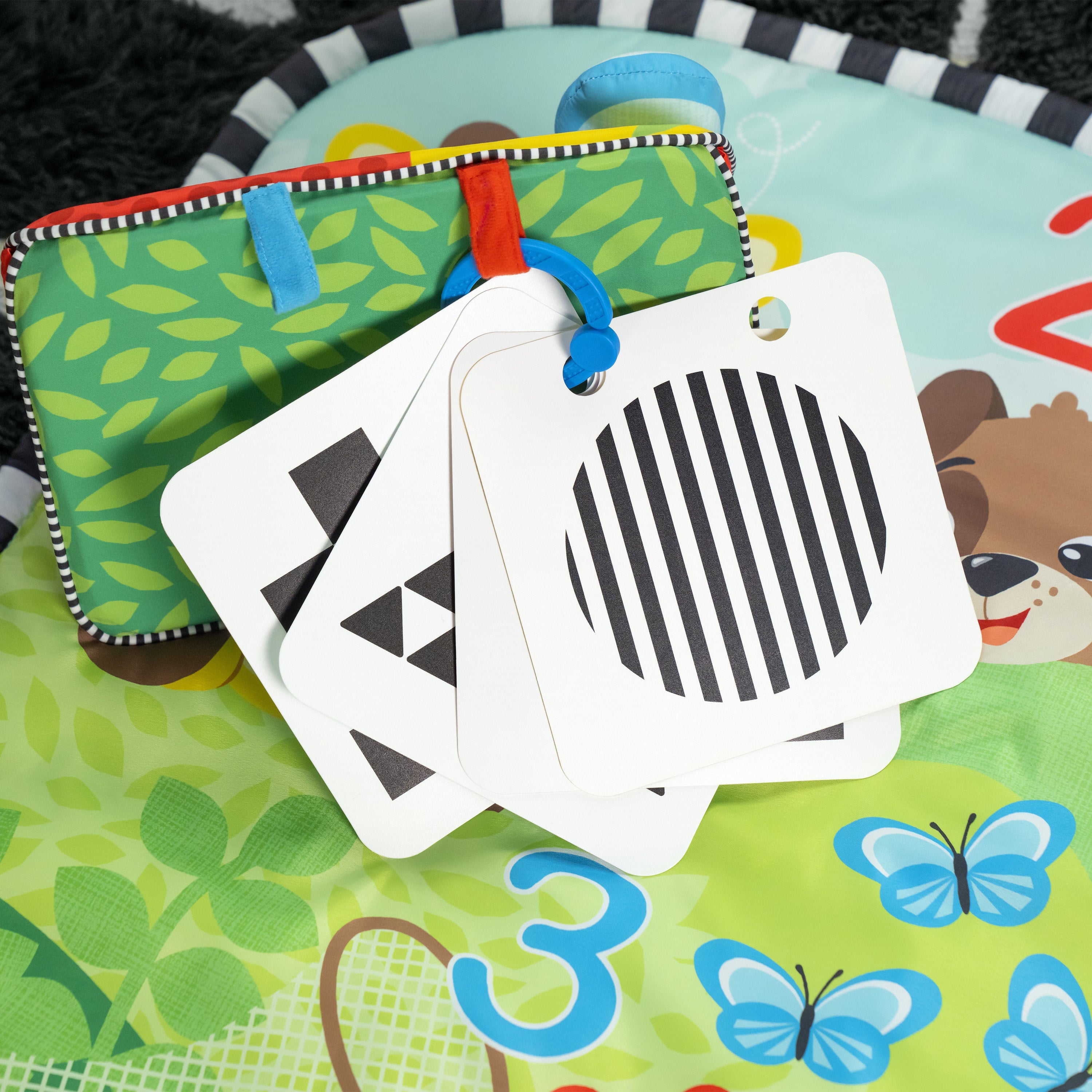 Discovery Garden Tummy Time Mat & Mirror