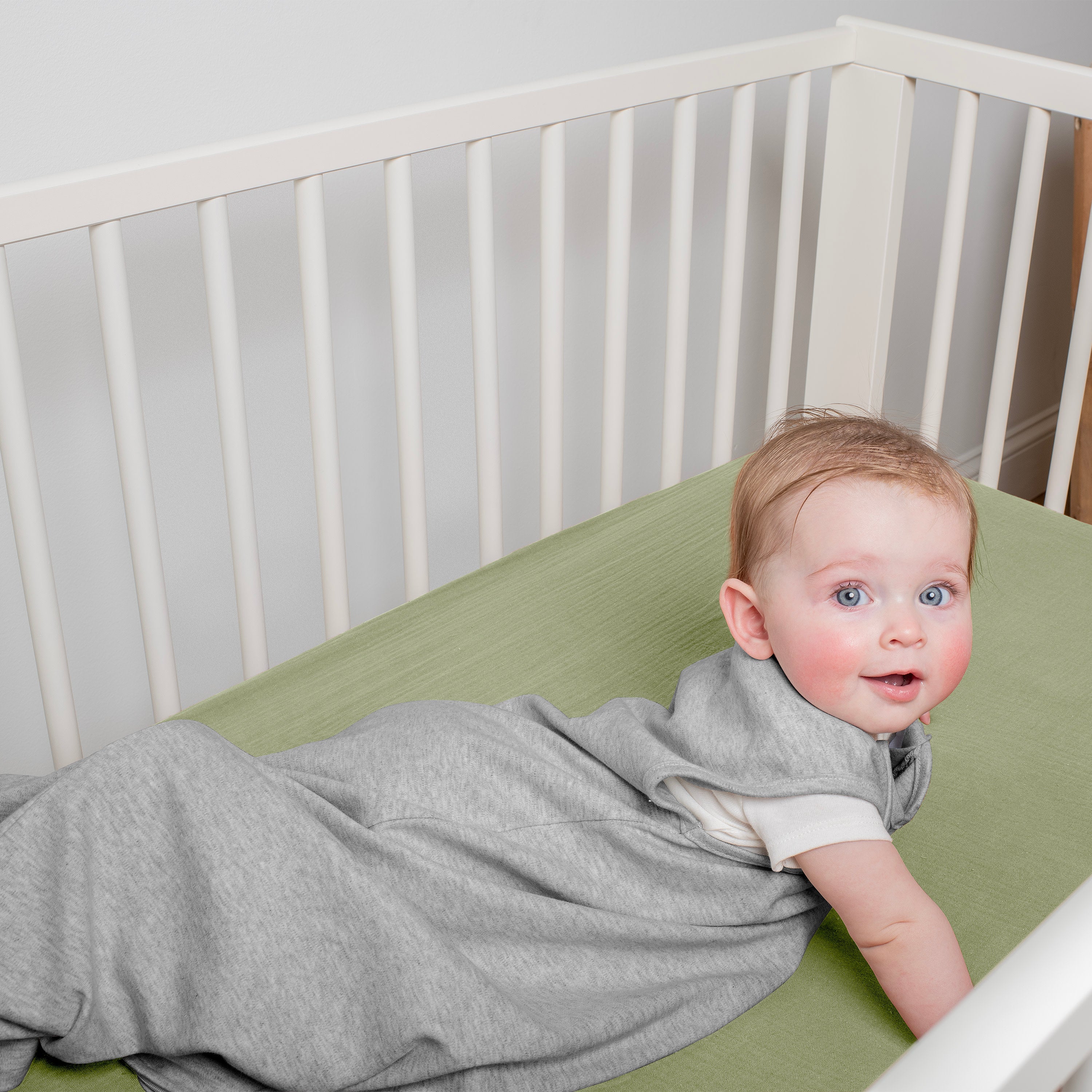 SwaddleMe by Ingenuity Night Sack Sleeper, Size SM, 3-9 months - 1pk - Flock Together