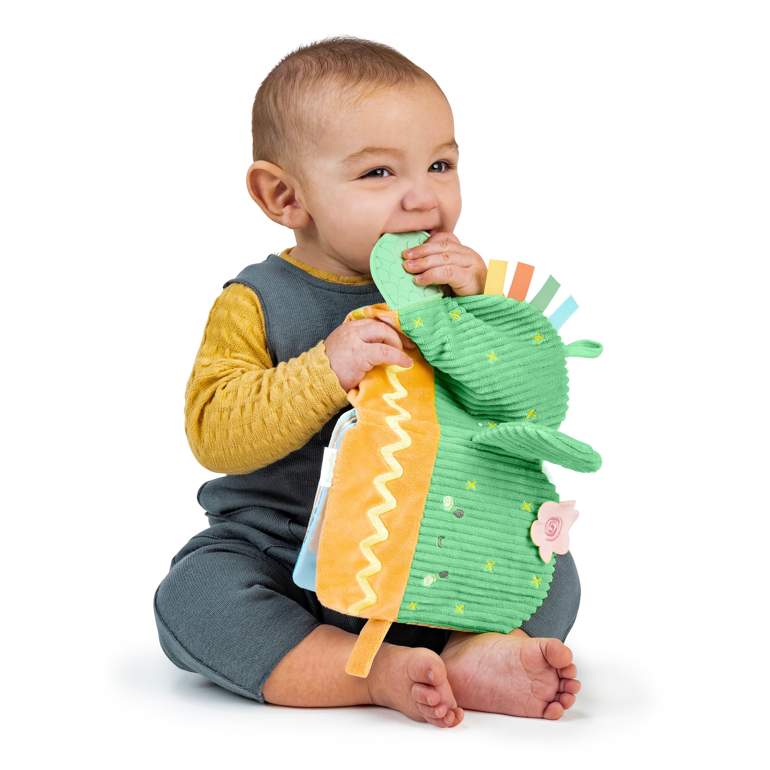 Ingenuity Calm Springs Soft Teething Activity Book, Unisex, For Ages 0-36 Months