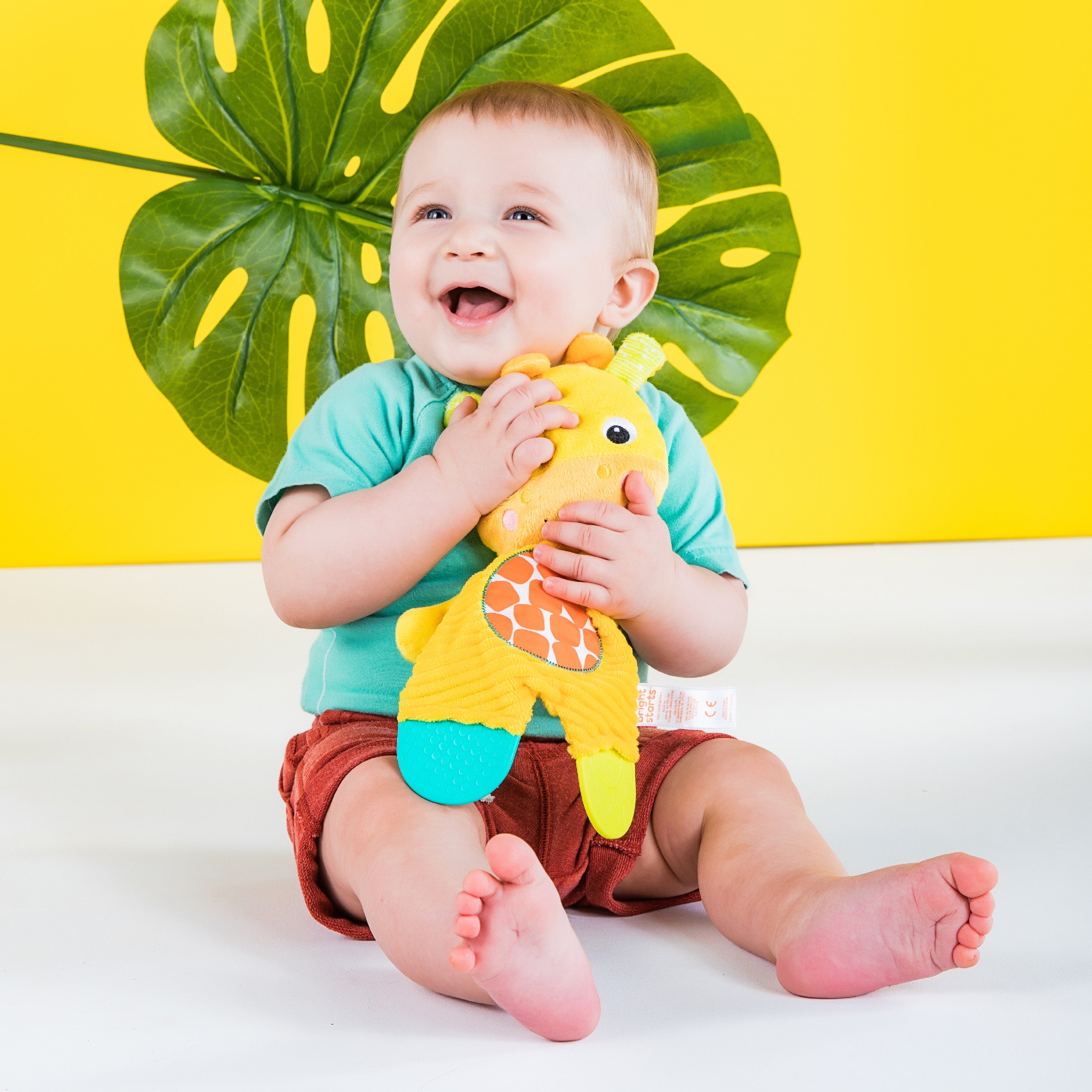 Bright Starts Snuggle & Teethe Plush Teether Toy, Giraffe