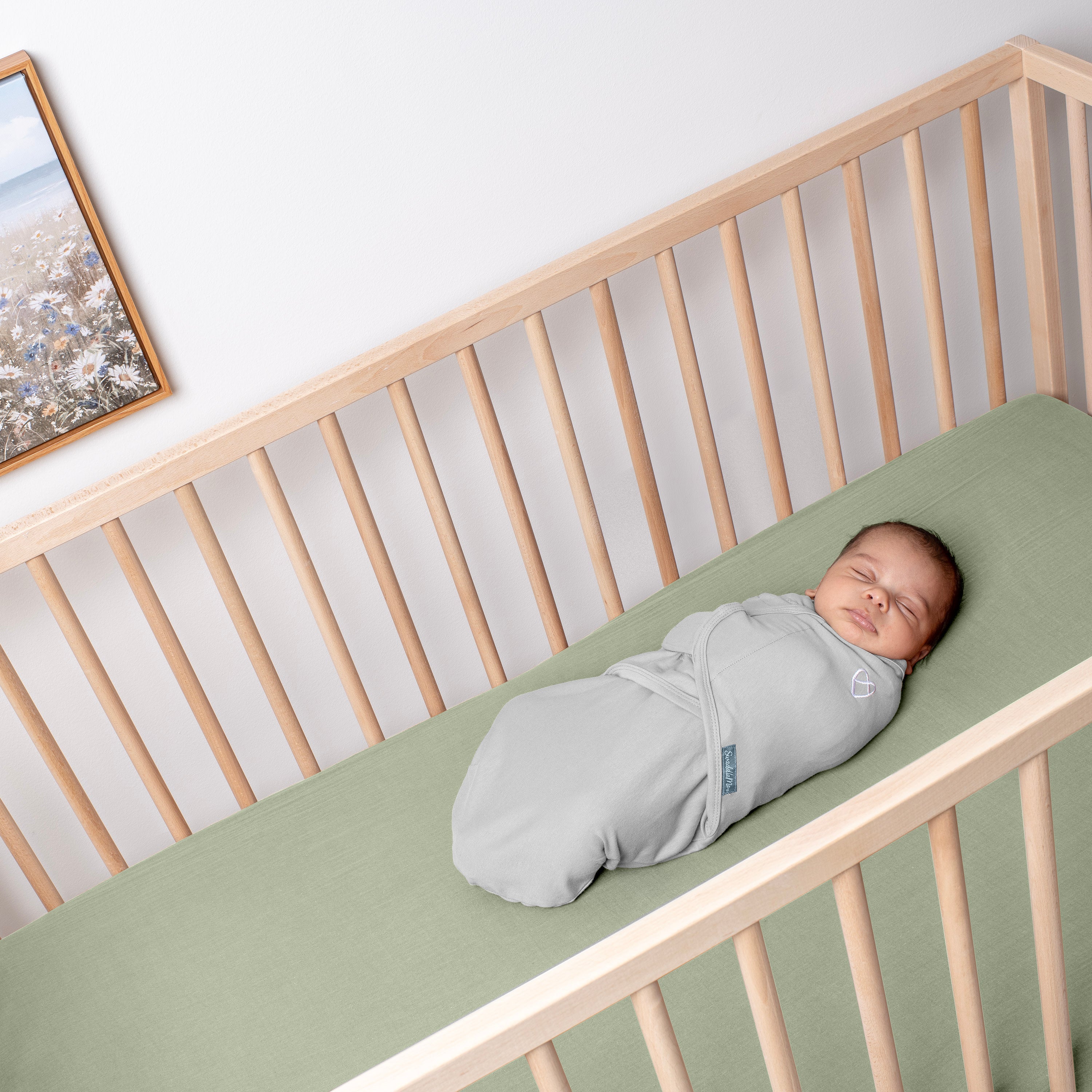 Original Swaddle, Size SM, 0-3 months, 2pk - Tropical Dino