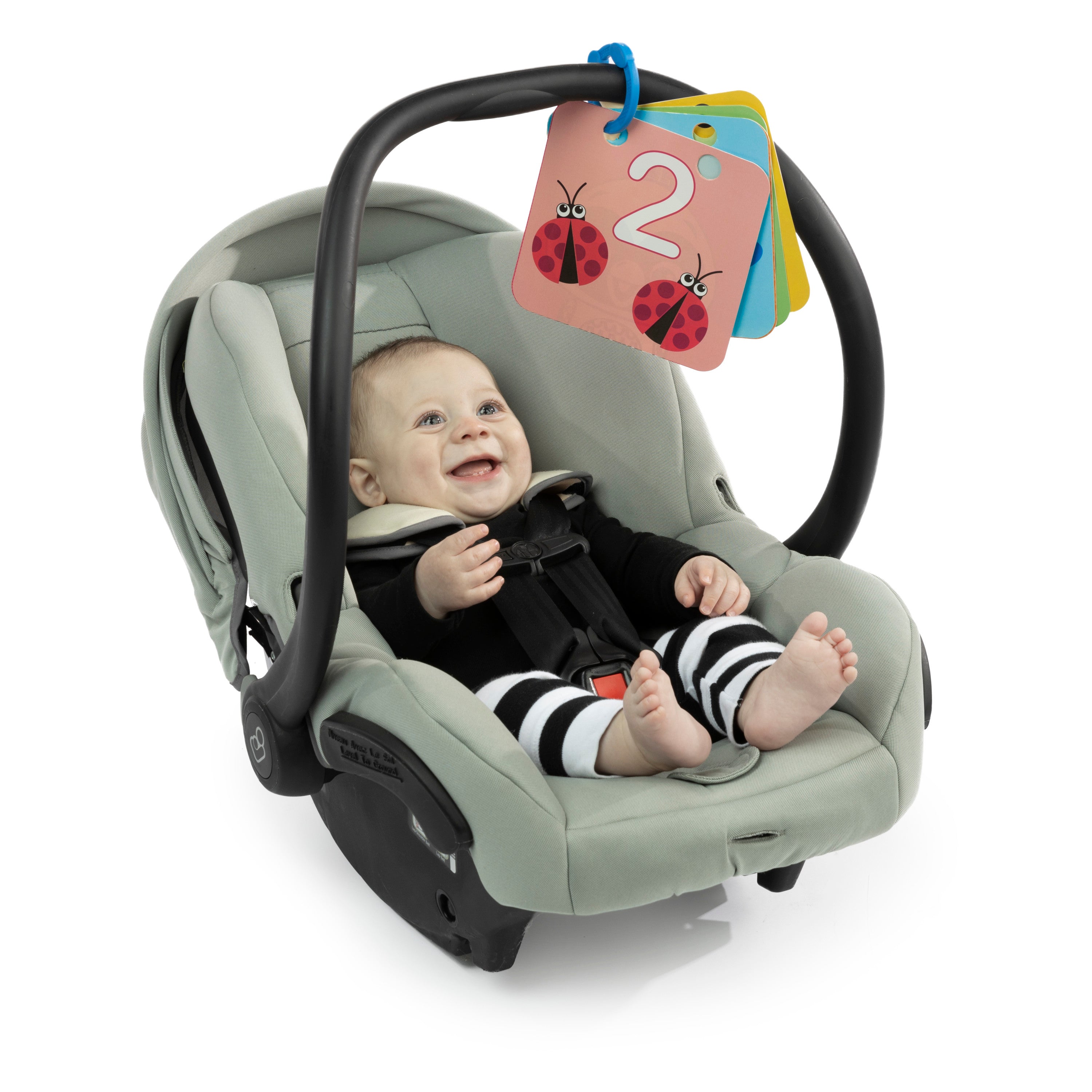 Discovery Garden Tummy Time Mat & Mirror