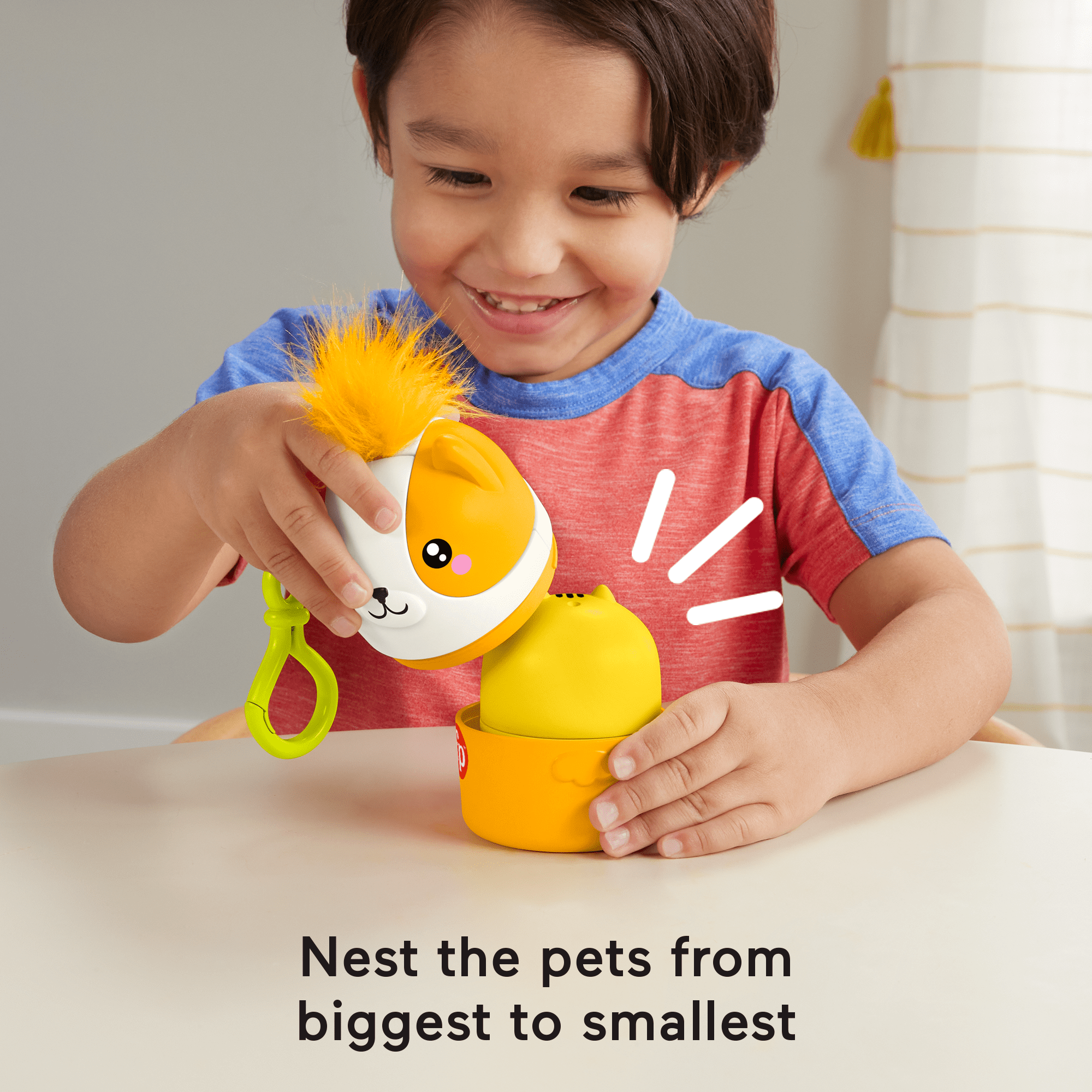 Fisher-Price FP Pets On-The-Go Nesting Pets Stacking Toy For Preschool Kids, 4 Pieces