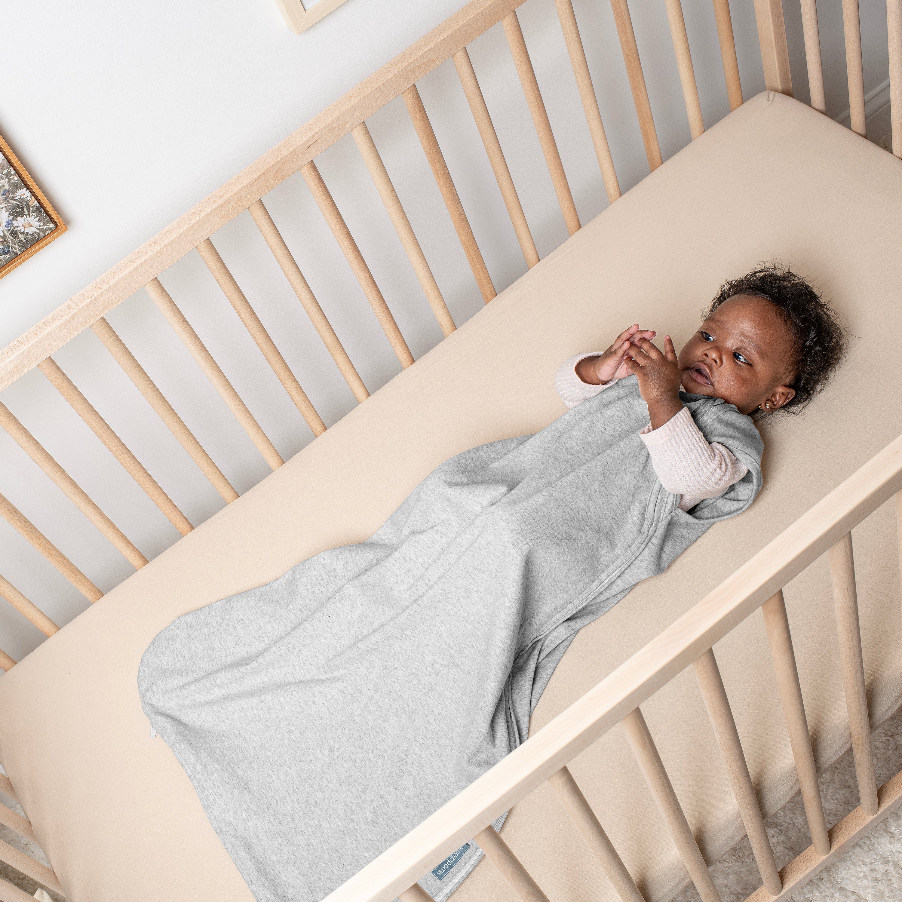SwaddleMe by Ingenuity Night Sack Sleeper, Size SM, 3-9 months - 1pk - Flock Together