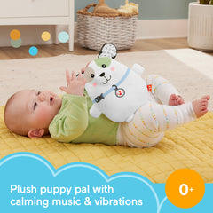 Fisher Price Calming Vibes Puppy Soother Portable Sound Machine Plush Toy For Newborns