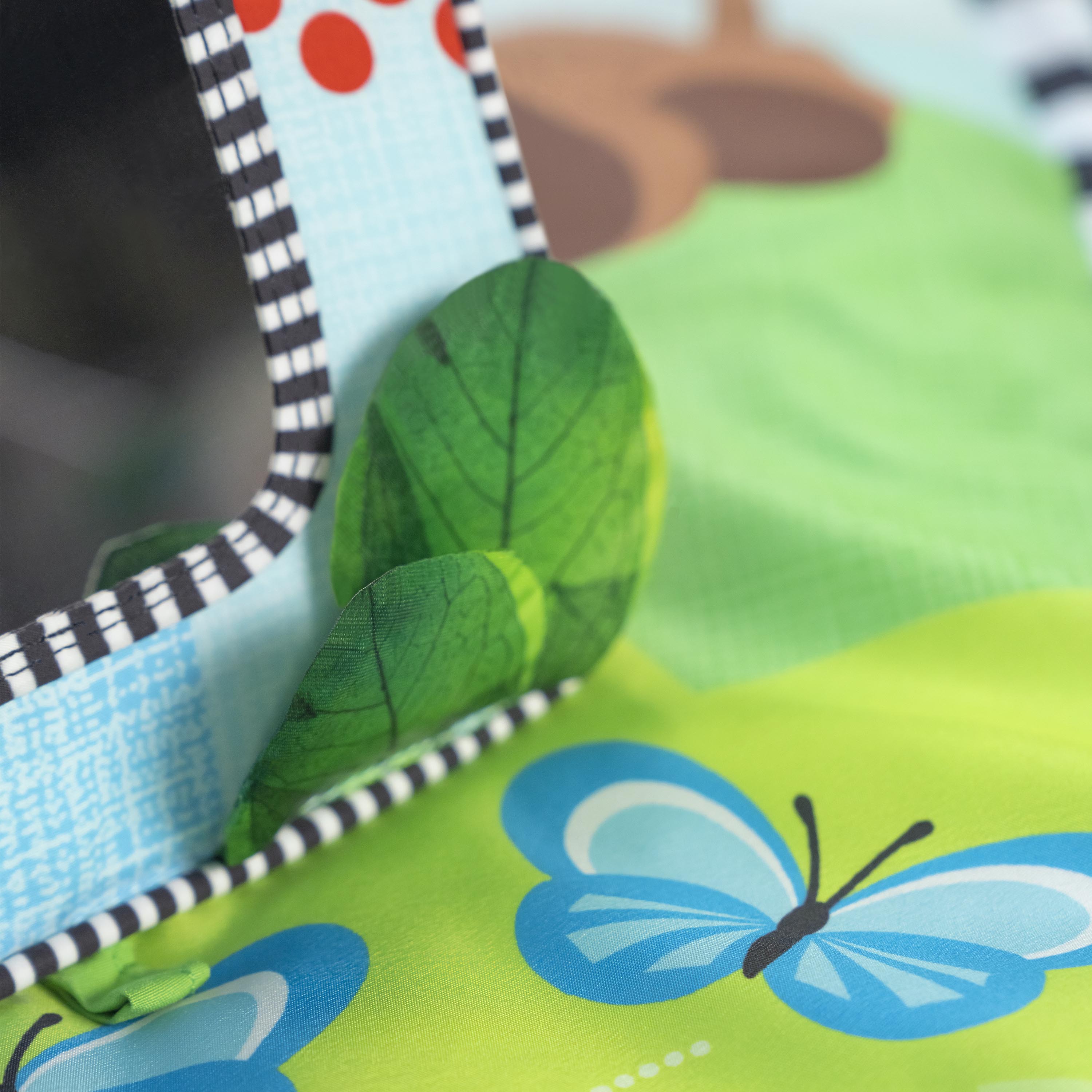 Discovery Garden Tummy Time Mat & Mirror