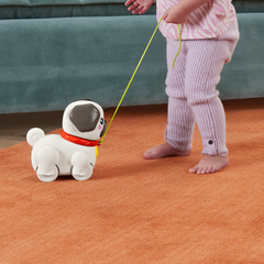 Fisher-Price Brinquedo para Bebês Pug Passeia Comigo