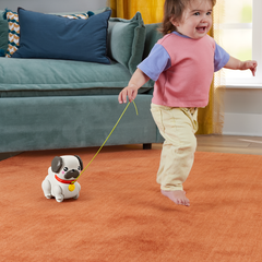 Fisher-Price Brinquedo para Bebês Pug Passeia Comigo