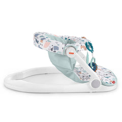 Fisher-Price Siège Jeu et Confort