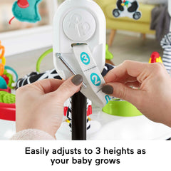 Fisher-Price Baby Bouncer Animal Wonders Jumperoo Activity Center With Music And Lights