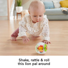 Fisher-Price Hello Moves Play Kit, 3 Infant Activity Toys