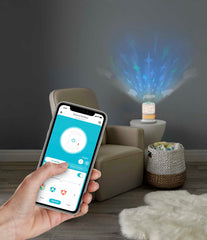 Fisher-Price Smart Connect Deluxe Soother